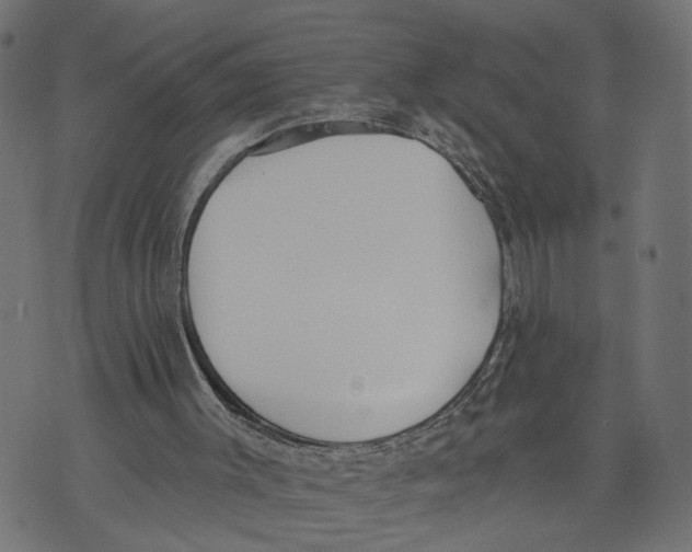 X0000073950003200609181413