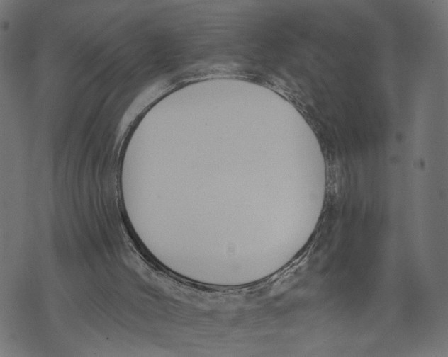 X0000073950004200609181413