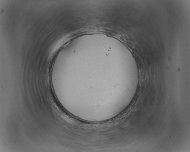 X0000073950005200609181413