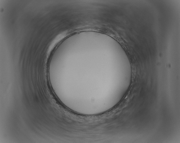 X0000073950006200609181413