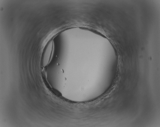 X0000073950007200609181413