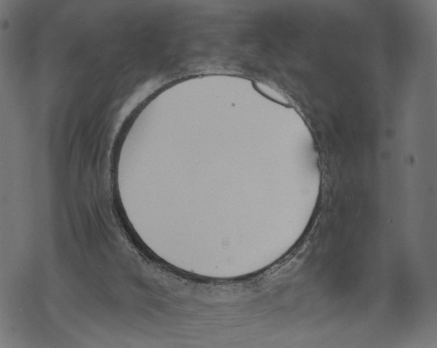 X0000073950008200609181413