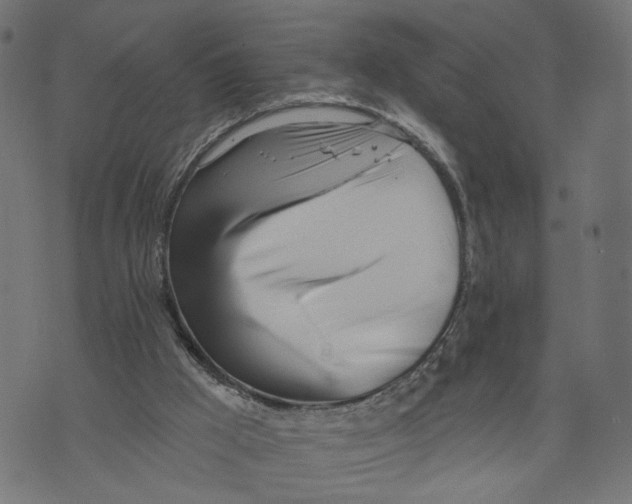 X0000073950009200609181413