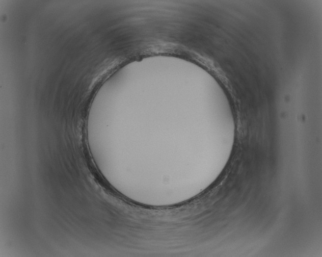 X0000073950010200609181413