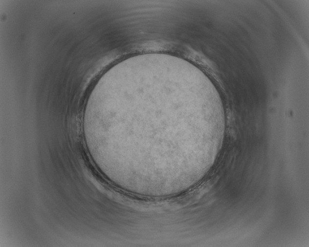 X0000073950012200609181412