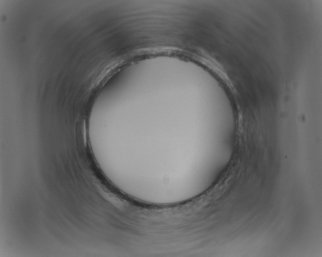 X0000073950013200609181412