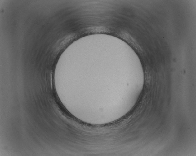 X0000073950014200609181412