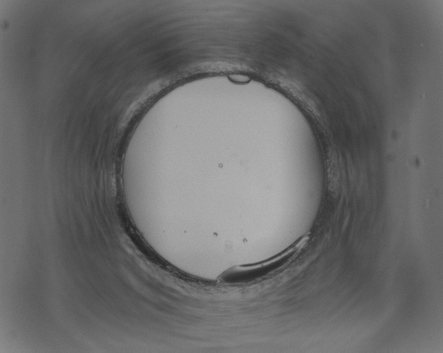 X0000073950015200609181412