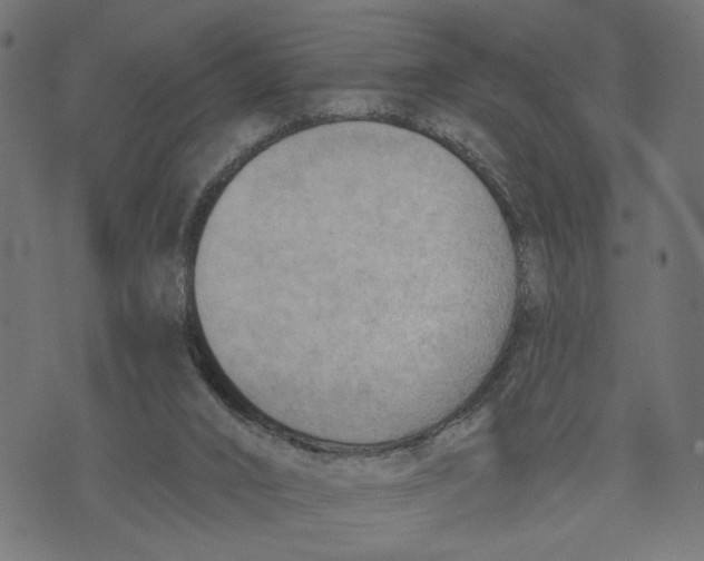 X0000073950016200609181412