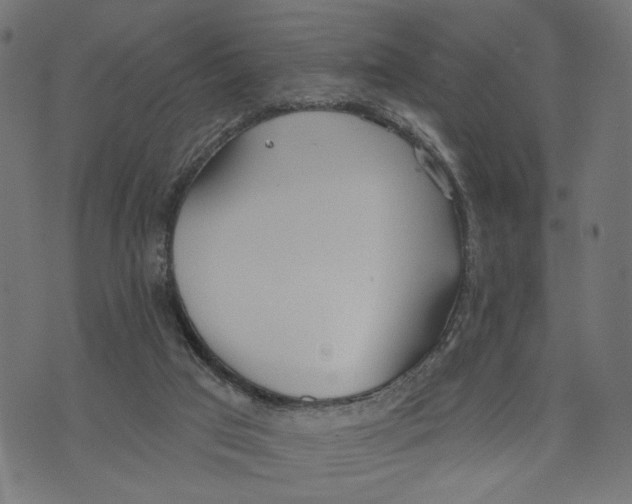 X0000073950017200609181412