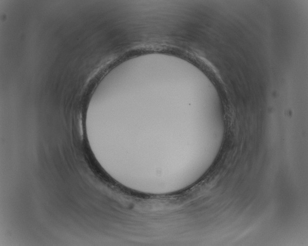 X0000073950020200609181412