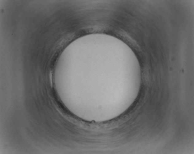 X0000073950022200609181412