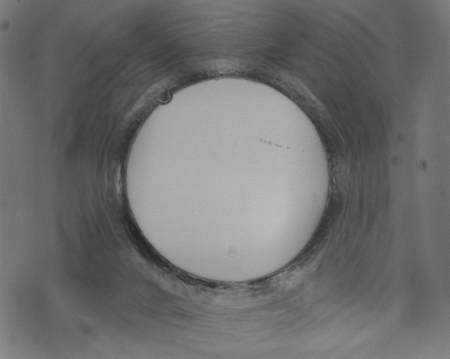 X0000073950024200609181412