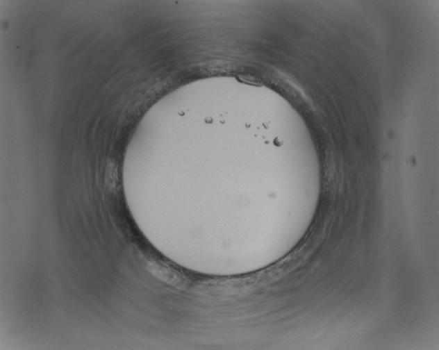 X0000073950025200609181412