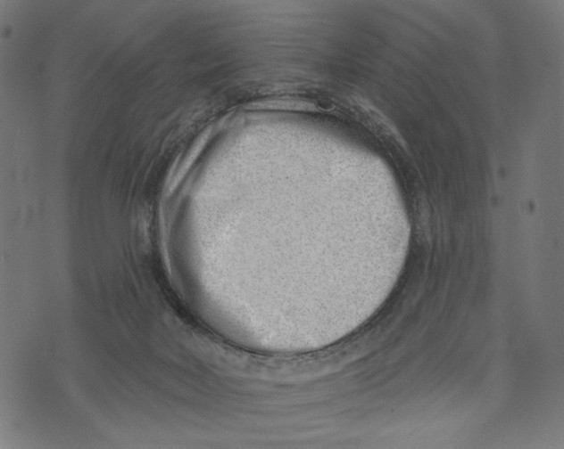 X0000073950026200609181412