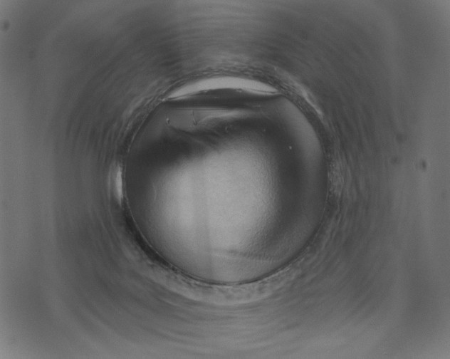 X0000073950027200609181412