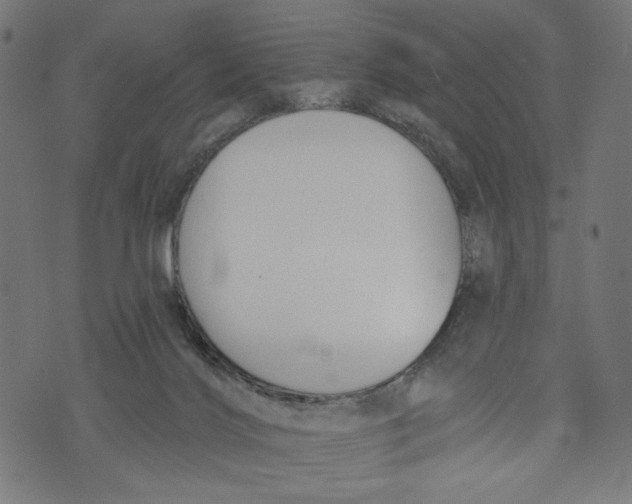 X0000073950028200609181412