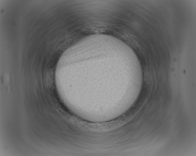 X0000073950030200609181412