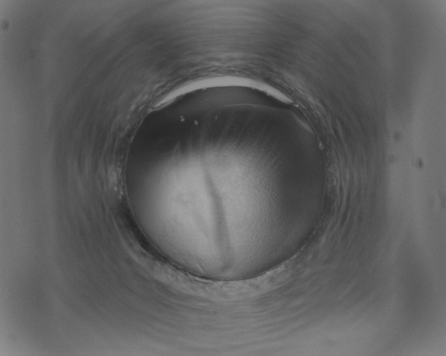 X0000073950031200609181412