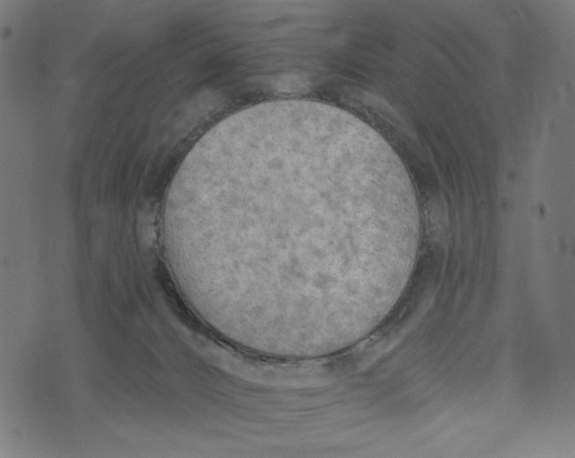 X0000073950032200609181412