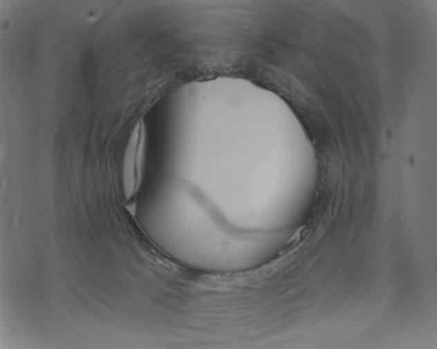 X0000073950033200609181412