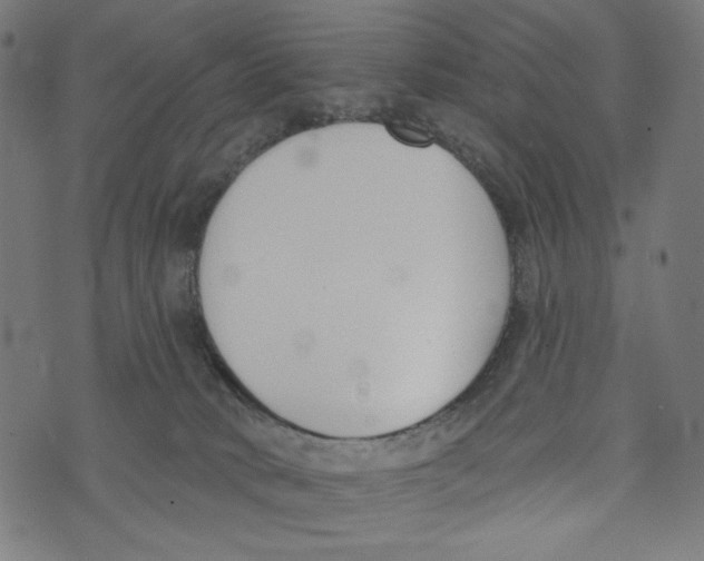 X0000073950034200609181412