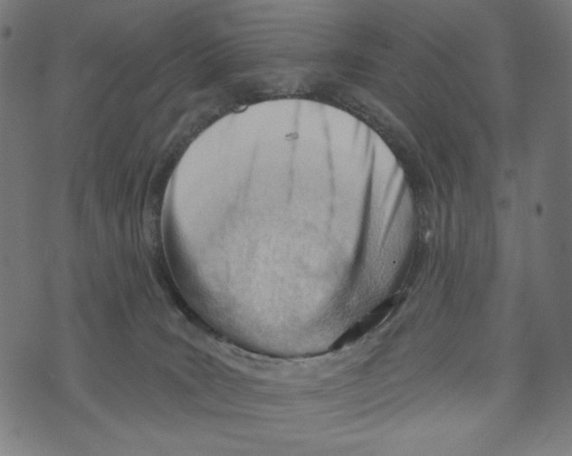 X0000073950035200609181412