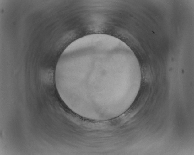 X0000073950036200609181412