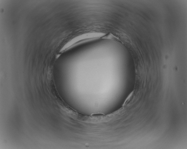 X0000073950037200609181412