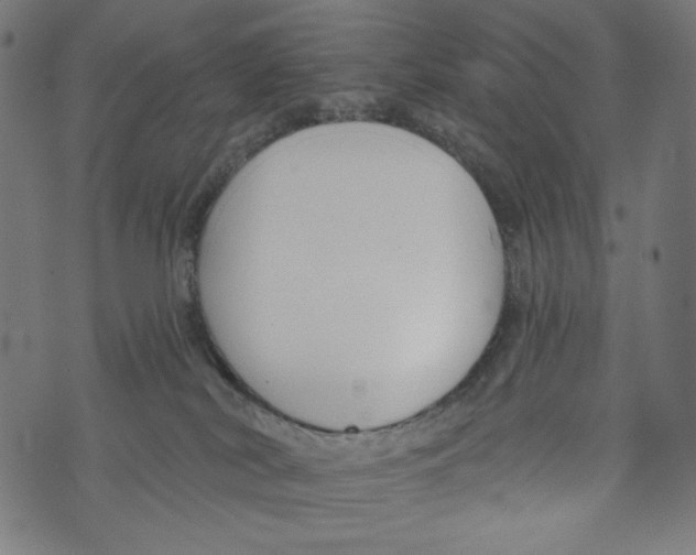 X0000073950038200609181412