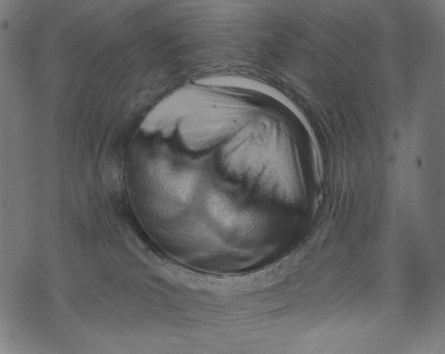 X0000073950039200609181412