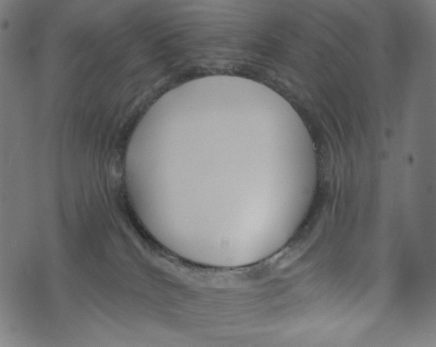 X0000073950040200609181412