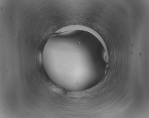 X0000073950041200609181412