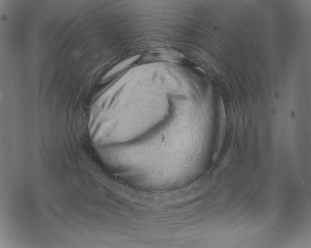 X0000073950043200609181412