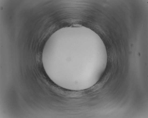 X0000073950044200609181412