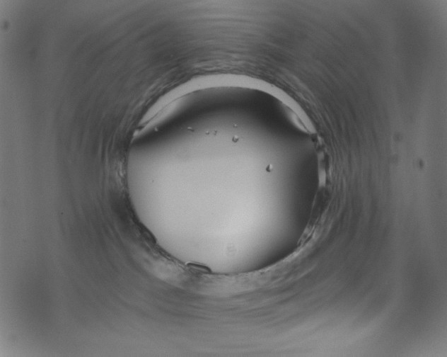 X0000073950045200609181412