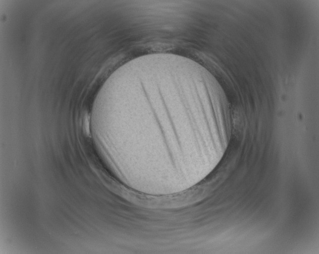 X0000073950046200609181412