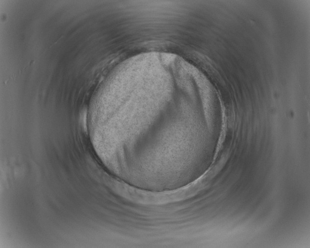 X0000073950047200609181412