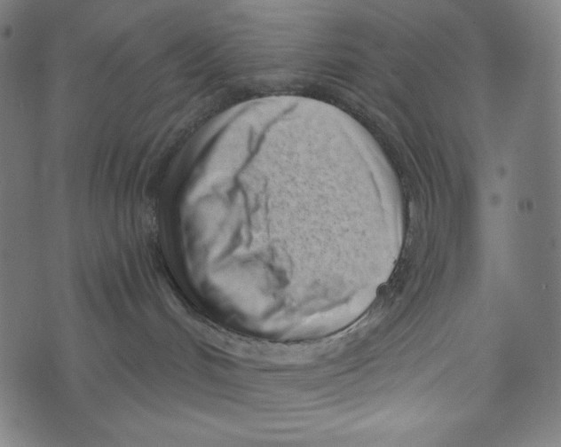 X0000073950048200609181412