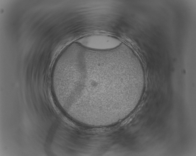 X0000073950049200609181411