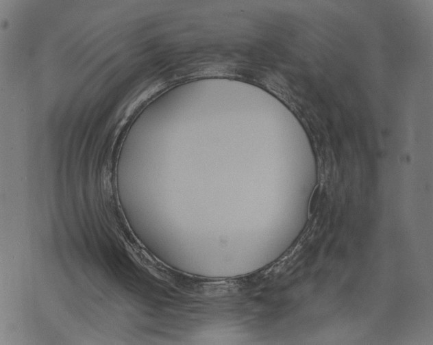 X0000073950050200609181411