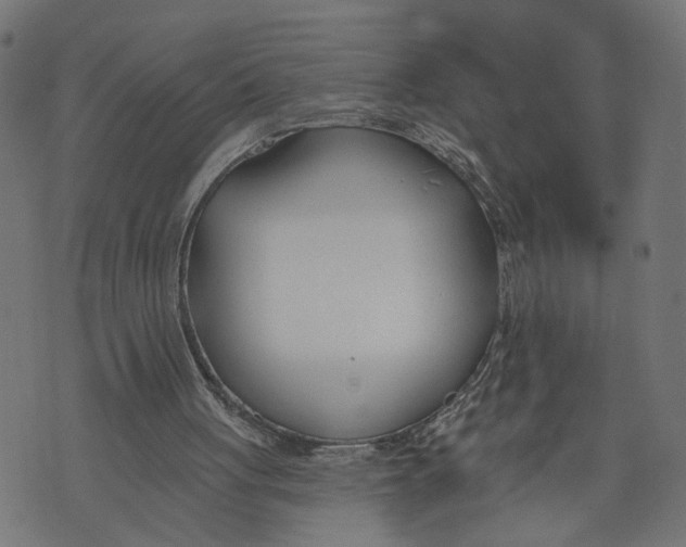 X0000073950051200609181411