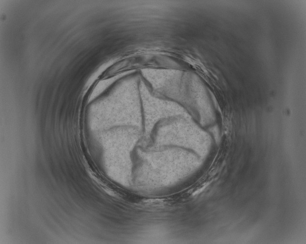 X0000073950052200609181411