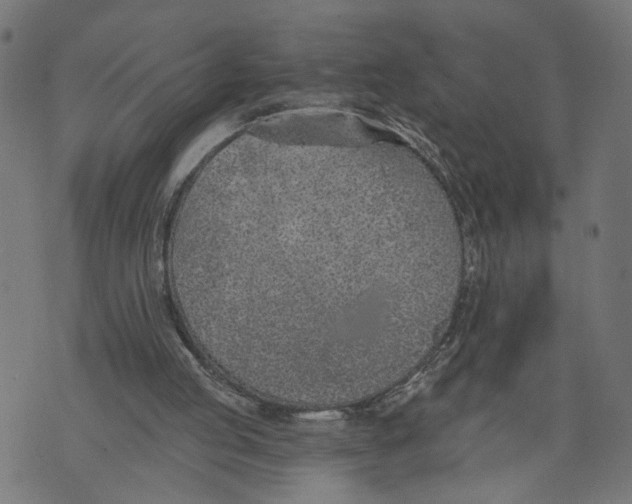 X0000073950053200609181411