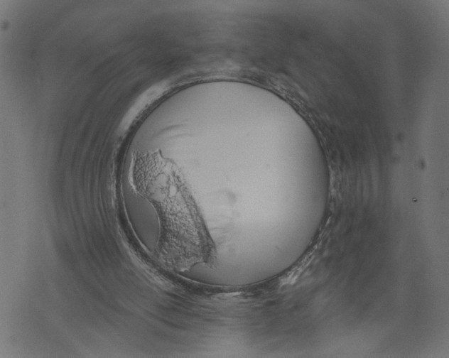 X0000073950054200609181411