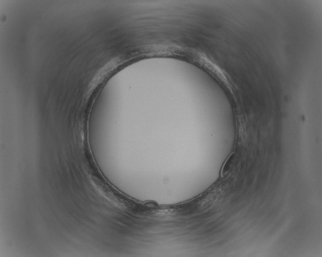 X0000073950059200609181411