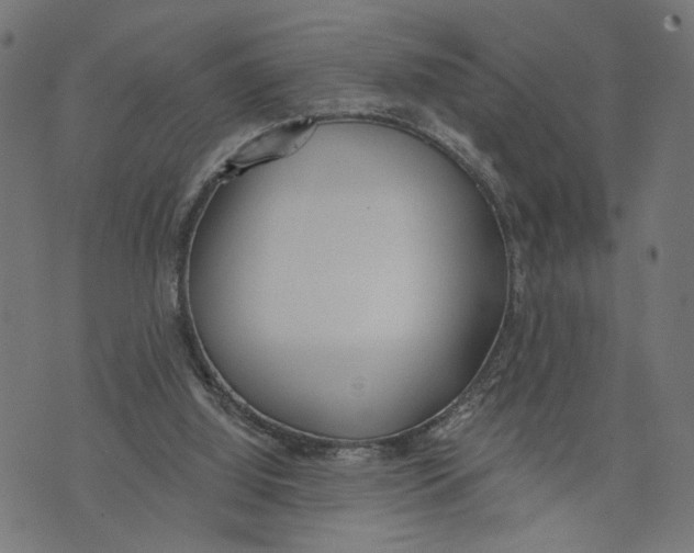 X0000073950060200609181411