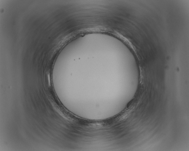 X0000073950061200609181411