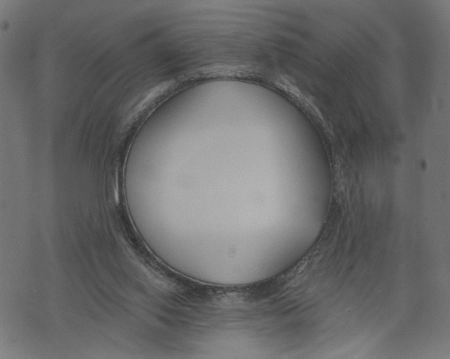 X0000073950062200609181411