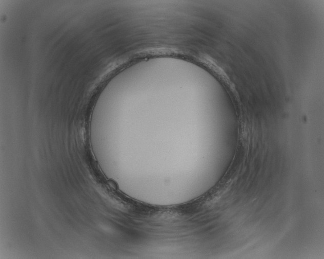 X0000073950063200609181411